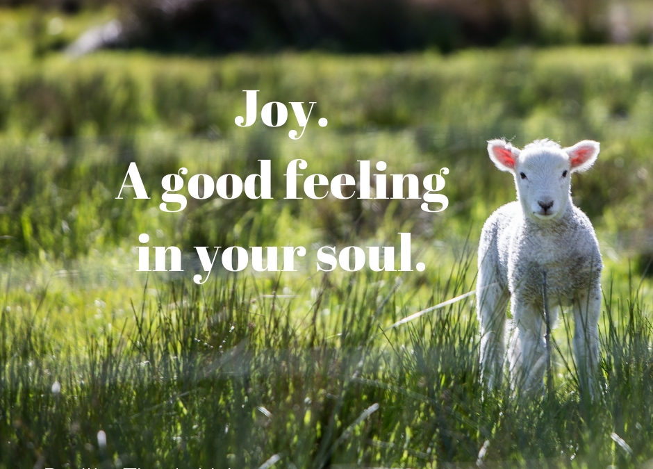 joy-a-good-feeling-in-the-soul-http-positivethanksliving